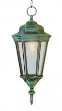  4097 RT - San Rafael 1-Light Clear Glass, Metal Framed, Hanging Outdoor Pendant Light with Chain